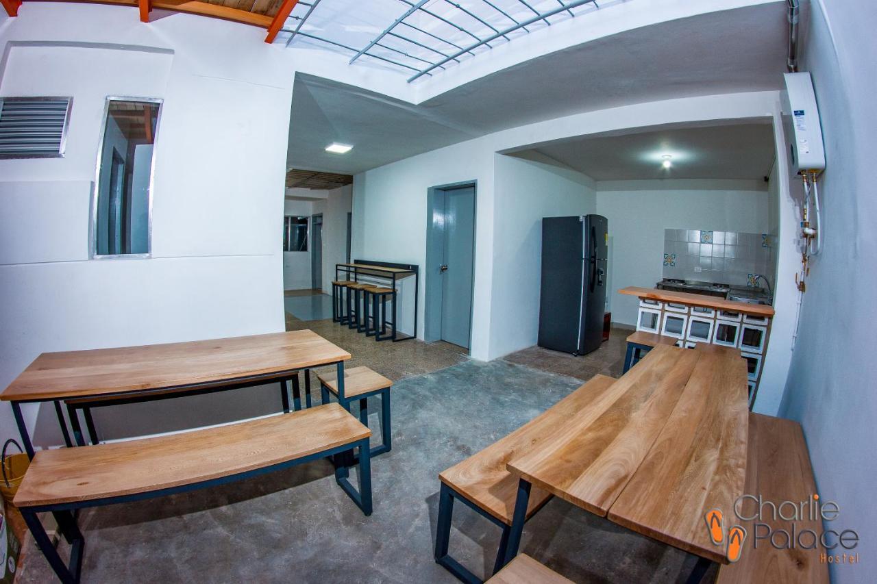 Charlie Palace Hostel Medellín Dış mekan fotoğraf